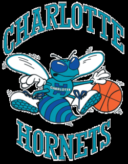 Charlotte hornets old