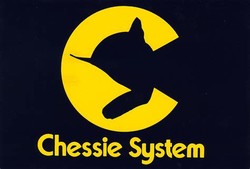 Chessie system railroad