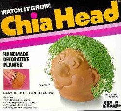 Chia head