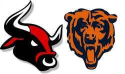 Chicago bulls and bears