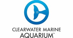 Clearwater aquarium