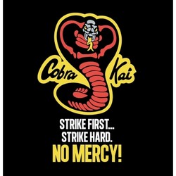 Cobra kai