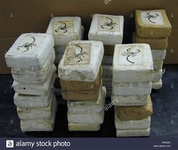 Cocaine bricks scorpion