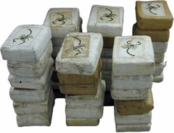 Cocaine bricks scorpion