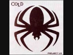 Cold spider