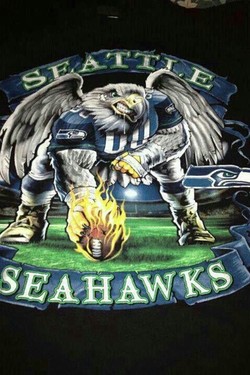 Cool seahawks