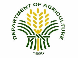 Department of agriculture