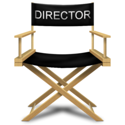 Director chair