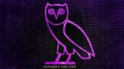 Drake owl