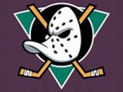 Ducks hockey team