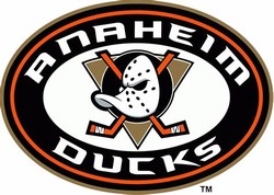 Ducks hockey team