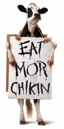 Eat more chicken