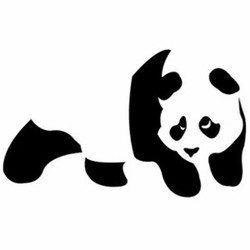 Enjoi panda