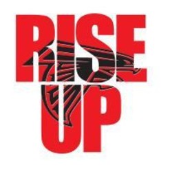 Falcons rise up