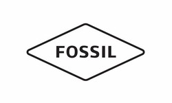Fossil q