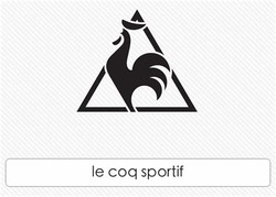 French sports company