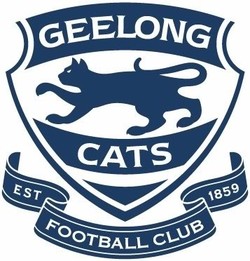 Geelong football club