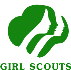 Girl scout brownie