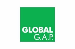 Global gap