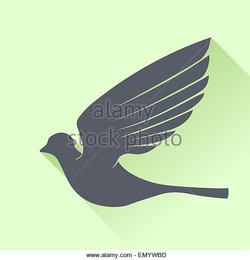 Grey bird