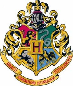 Harry potter hogwarts