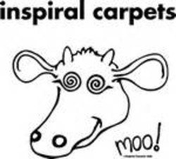 Inspiral carpets