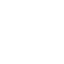 Integer group