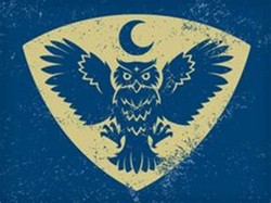 Joshua owls