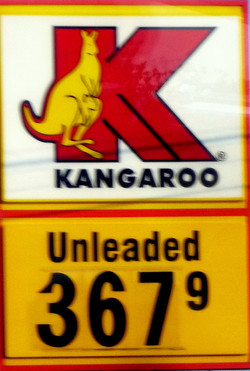 Kangaroo gas station