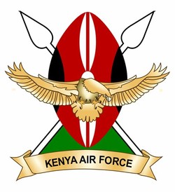 Kenya army