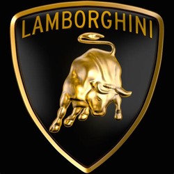 Lamborghini bull