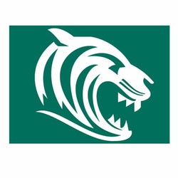 Leicester tigers