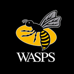 London wasps