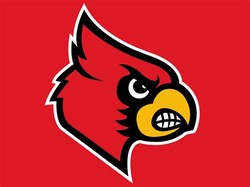 Louisville cardinals football
