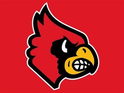 Louisville cardinals football