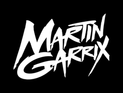 Martin garrix