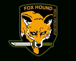 Mgs foxhound
