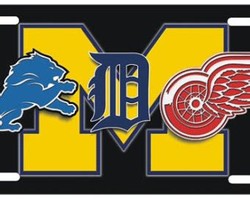Michigan sports teams
