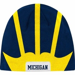 Michigan wolverines helmet