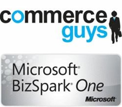 Microsoft bizspark