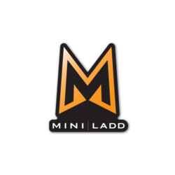 Mini ladd