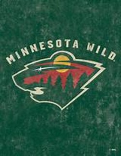 Minnesota wild hockey