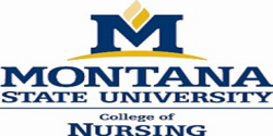 Montana state university billings