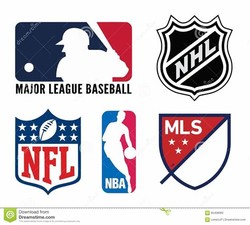 Most popular sports