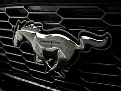 Mustang car