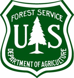 National forest service