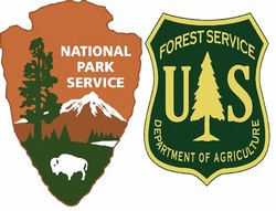 National forest service