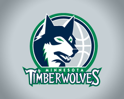 New minnesota timberwolves