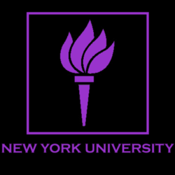 New york college