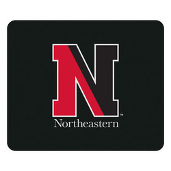 Northeastern college